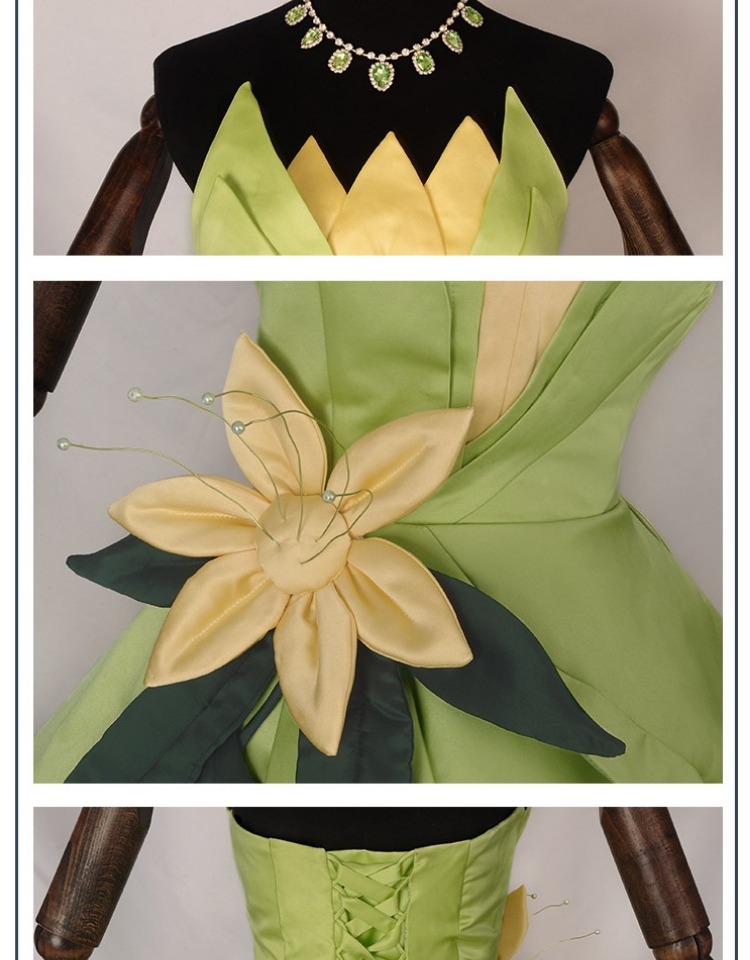 Princess Tiana Dress Cosplay C - Women Accessories Kit 评论和价格