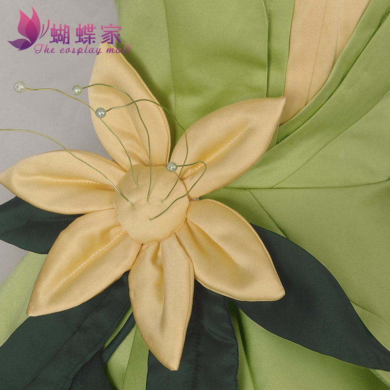 Princess Tiana Dress Cosplay C - Women Accessories Kit 评论和价格